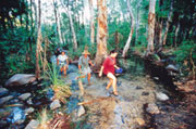 Bushwalking NT with guide