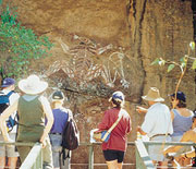  Nourlanie Aboriginal Cultural experience in Kakadu National Park - NT Tourism.