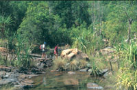 Barramundi Gorge - NT Tourism