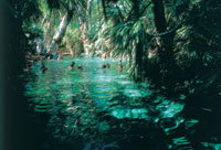 Mataranka Thermal Pool