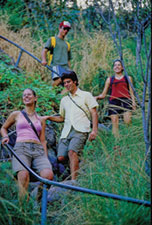 Nitmiluk and bushwalking  - not necessarily the path on your route - general example only.