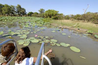 Point Stuart Cruise eco guide sightseeing cruise