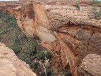 Kings Canyon guided camping adventure tour in Watarrka National Park