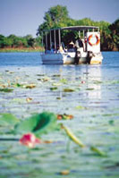 Mary River Boat Cruise