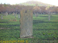 Termite Mounds in Litchfield National Park Top End Northern Territory Australia - with time permitting get to see these incredible sights and much more