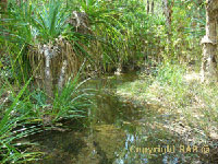 Maguk Gorge in Kakadu National Park - seasonal access