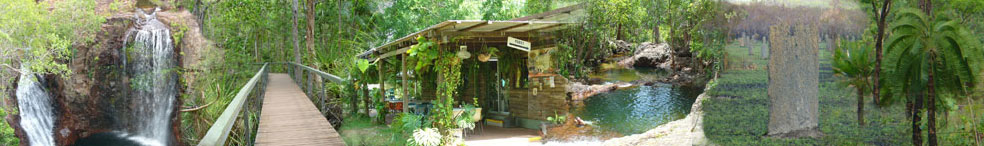 Litchfirld Safaris and Tours offered by experienced friendly staff at a online safari and tour specialist in Darwin Northern Territory Australia.